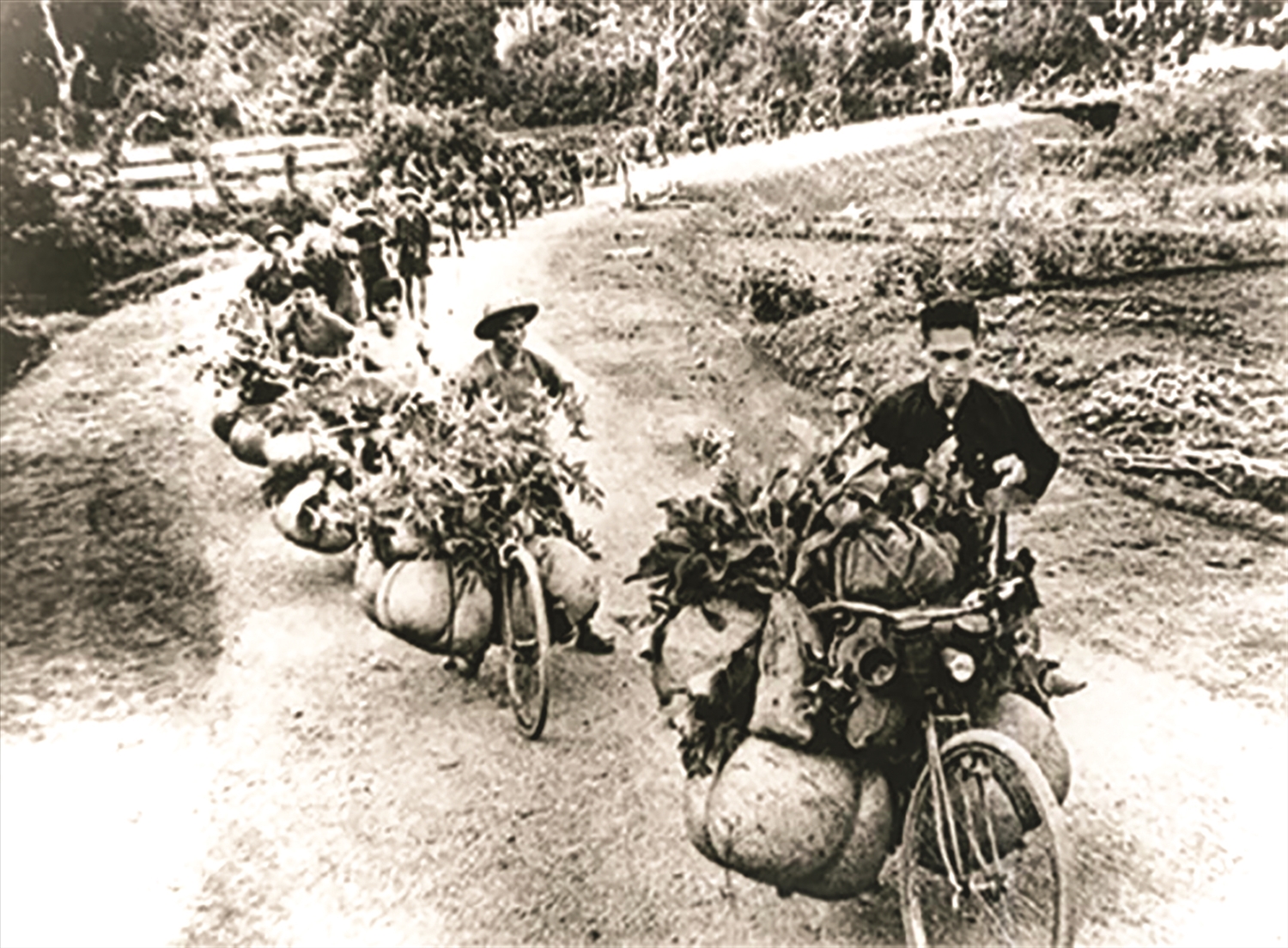 “Binh chủng” xe đạp thồ trong Chiến dịch Điện Biên Phủ có “quân số” hơn 20.000 chiếc. (Ảnh tư liệu)