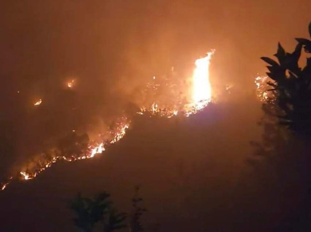 Ngày 26/4/2024, cháy rừng tại tỉnh Hà Giang làm thiệt hại nhiều hec-ta rừng, ảnh hưởng đến môi trường sinh thái và đời sống của nhân dân trên địa bàn