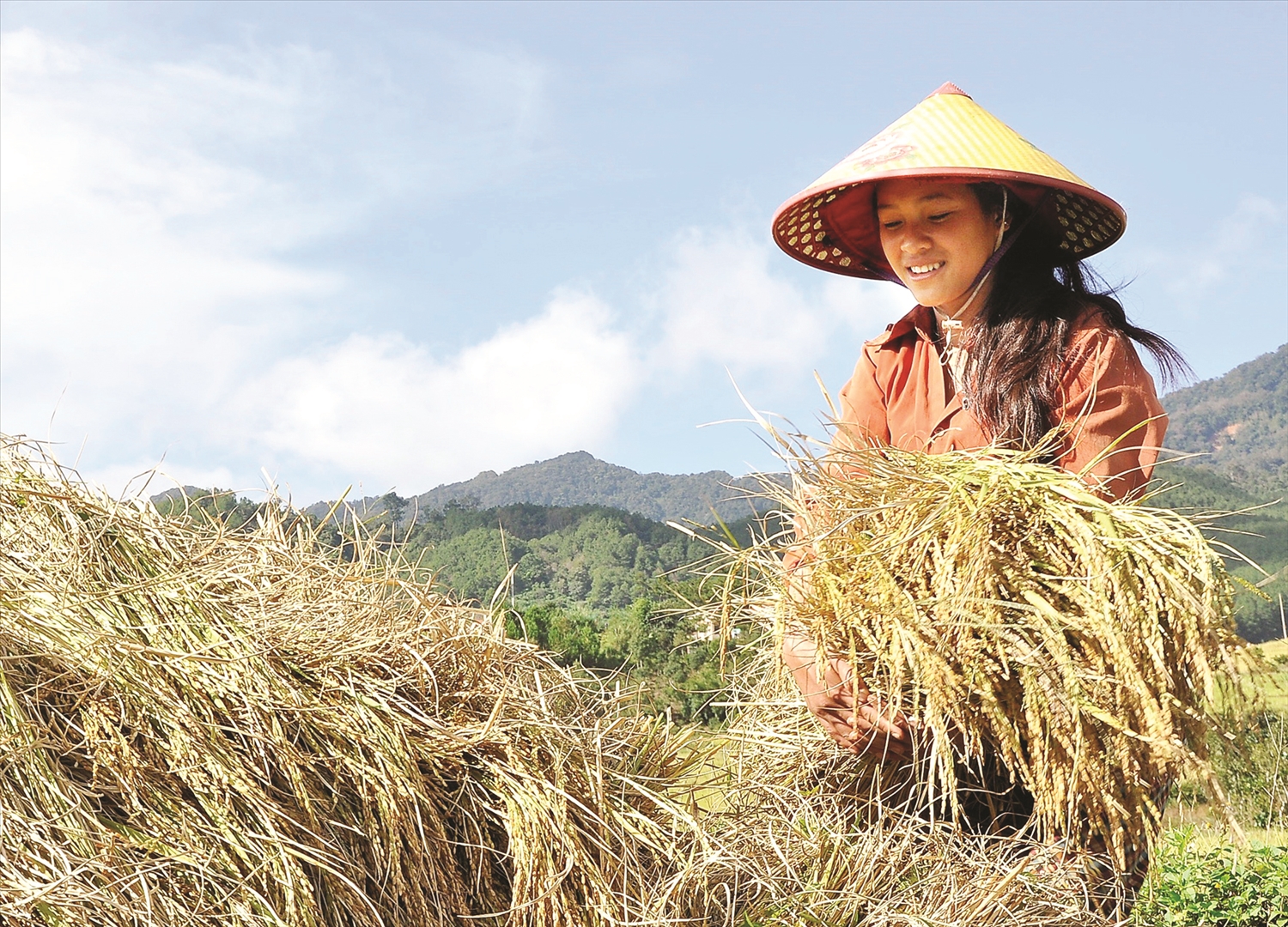 Thủy lợi được đầu tư nên cây lúa sinh trưởng tốt, cho năng suất cao, giúp đồng bào Xơ Đăng ở xã Măng Ri đảm bảo được nguồn lương thực.