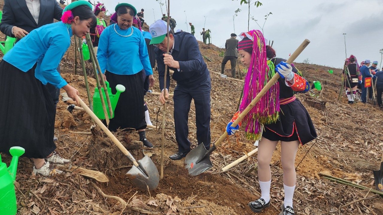 Lãnh đạo tỉnh Quảng Ninh dự chương trình Tết trồng cây 2024 tại huyện Đầm Hà