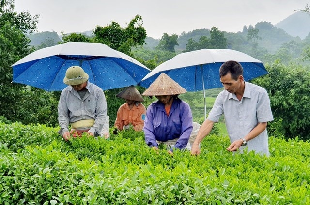 Đồng bào DTTS đang từng bước đổi mới cách làm ăn, xây dựng cuộc sống mới.