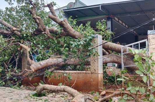 Lốc xoáy gây thiệt hại nhiều công trình, nhà cửa ở huyện Bù Đăng, tỉnh Bình Phước. Ảnh: TTXVN