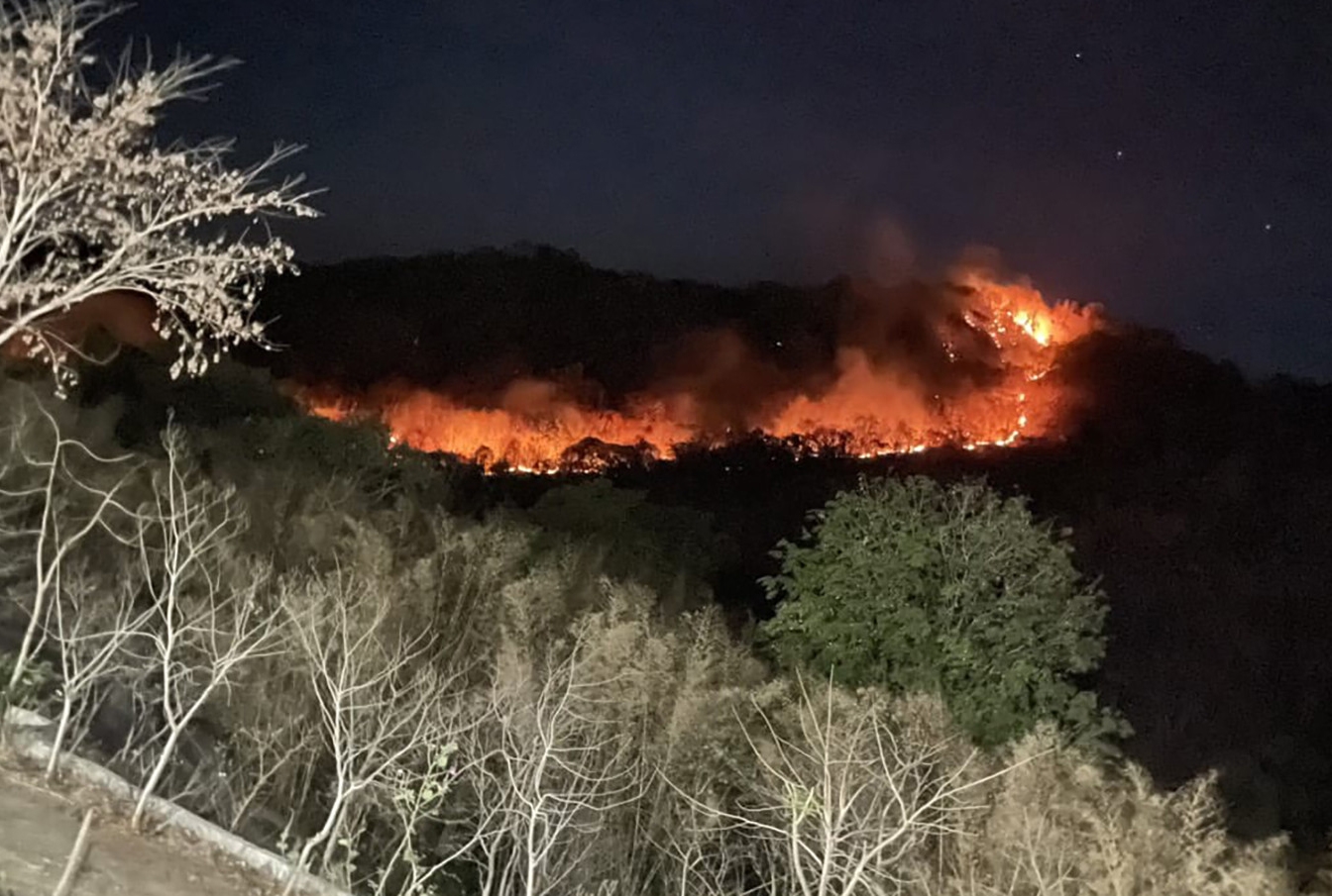 Vụ cháy rừng khu vực huyện Tri Tôn, tỉnh An Giang ngày 26/4, ngọn lửa lớn bao trùm cả khu vực