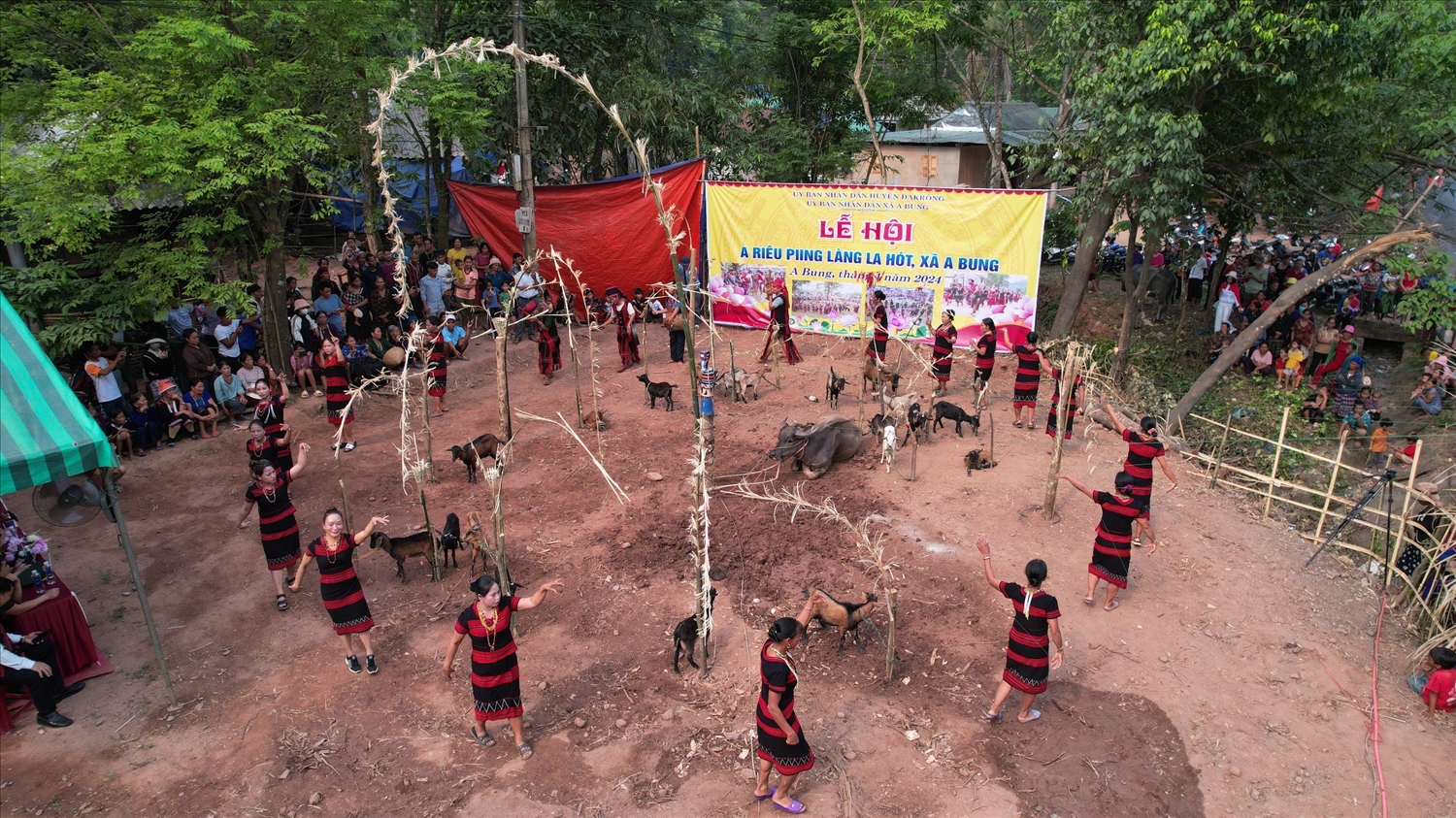Sau gần 10 năm lễ A Riêu Piing của người Pa Cô ở A Bung (Đakrông, Quảng Trị) lại được tổ chức, mang lại niềm vui phấn khởi trong Nhân dân