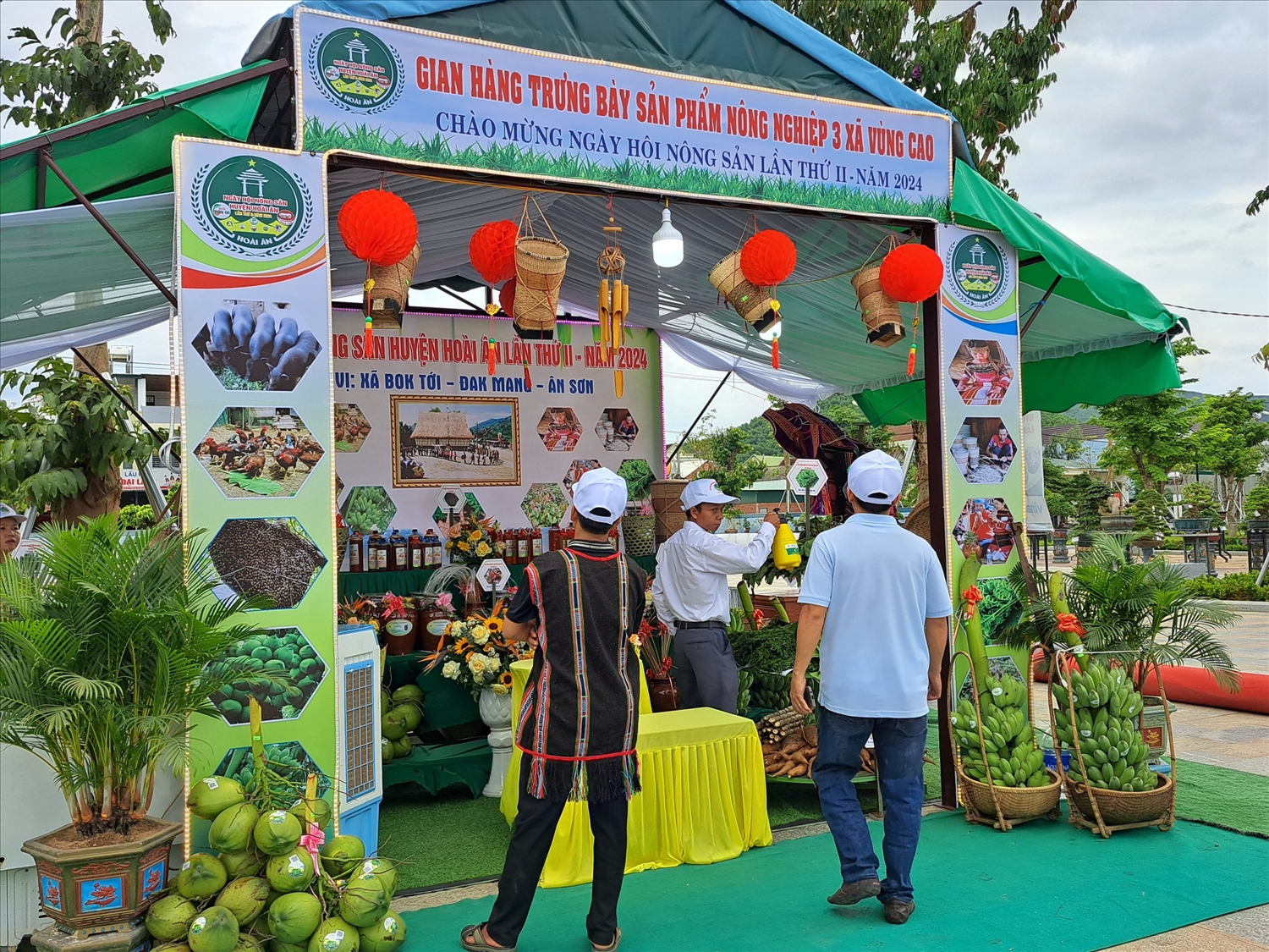 Nhiều sản phẩm nông nghiệp của các xã vùng cao của huyện Hoài Ân được chứng nhận OCOP