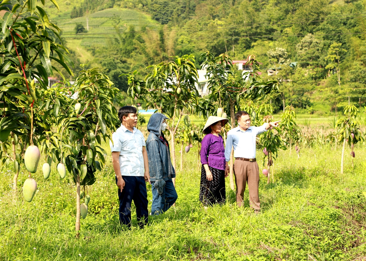 Đảng ủy xã Hữu Vinh, huyện Yên Minh lựa chọn mô hình phát triển cây ăn quả trong học tập và làm theo Bác.