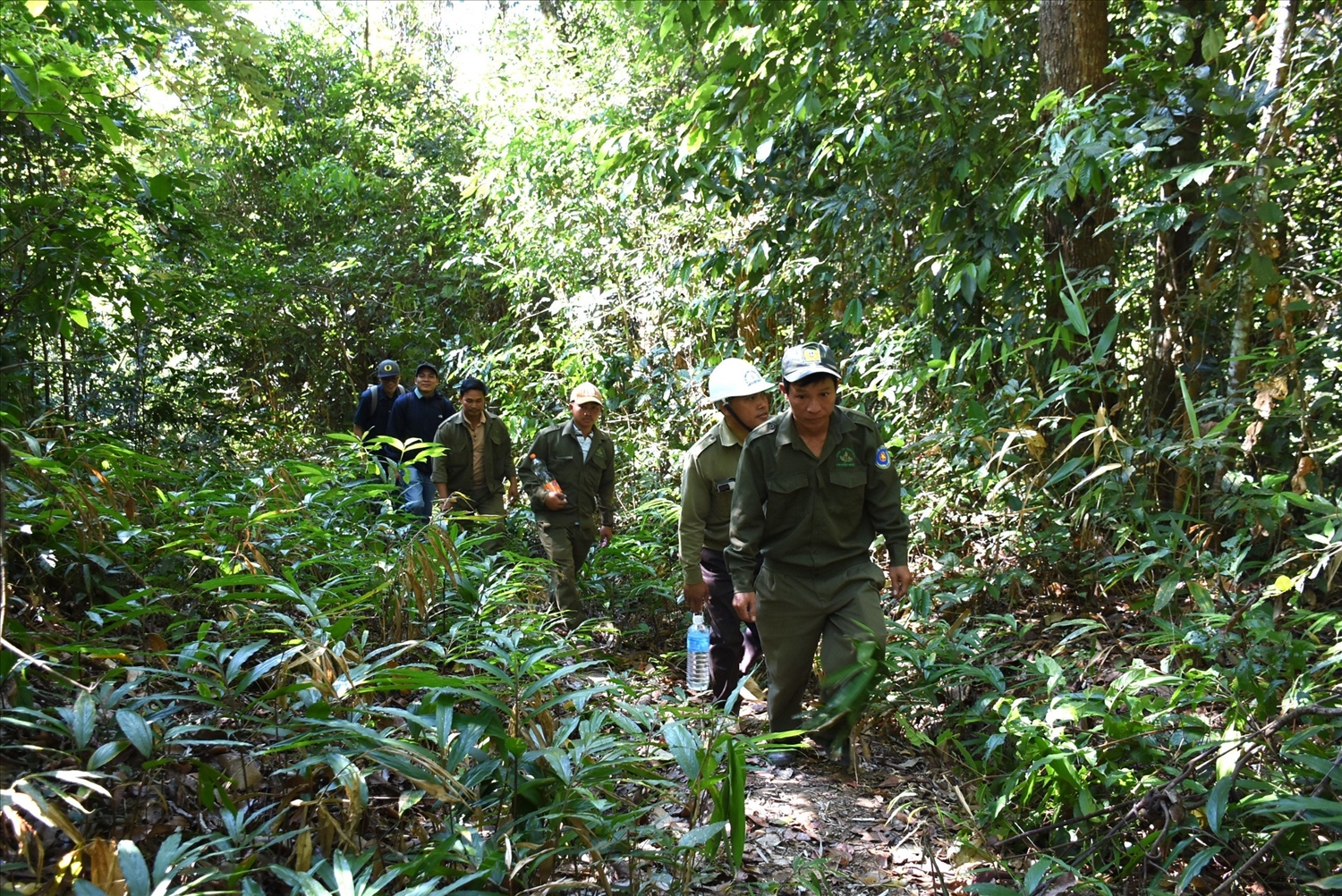 Cán bộ, người lao động Vườn quốc gia Chư Mom Ray đi tuần tra bảo vệ rừng