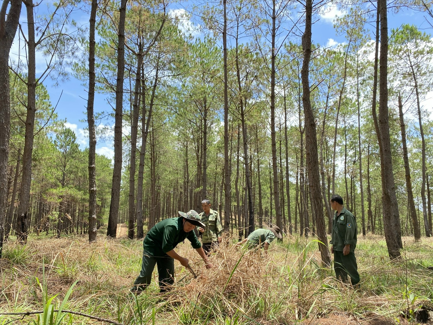 Công việc vất vả, lượng thấp khiến nhiều viên chức, người lao động làm công việc bảo vệ rừng xin nghỉ việc