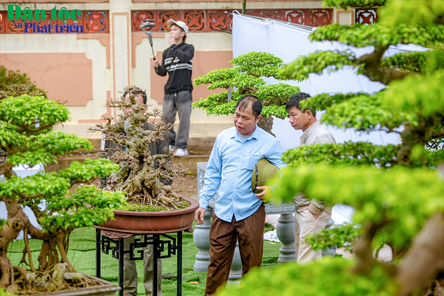 Nhiều loại hoa và cây cảnh của Vị Khê đã được đem đi trưng bày, tham dự triển lãm ở trong và ngoài nước và đều đạt giải thưởng cao, trong đó hoa và cây cảnh của Vị Khê đã đạt giải thưởng cao tại Triển lãm nghệ thuật vườn quốc tế tại Côn Minh (Trung Quốc) năm 1999.