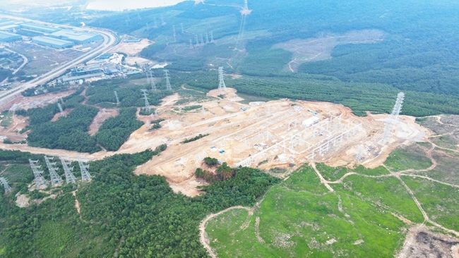 Công ty AIT đã phá 2,61 ha rừng tự nhiên để xây dựng trạm biến áp tại phường Hải Thượng, thị xã Nghi Sơn. (Ảnh: Hoàng Dương)
