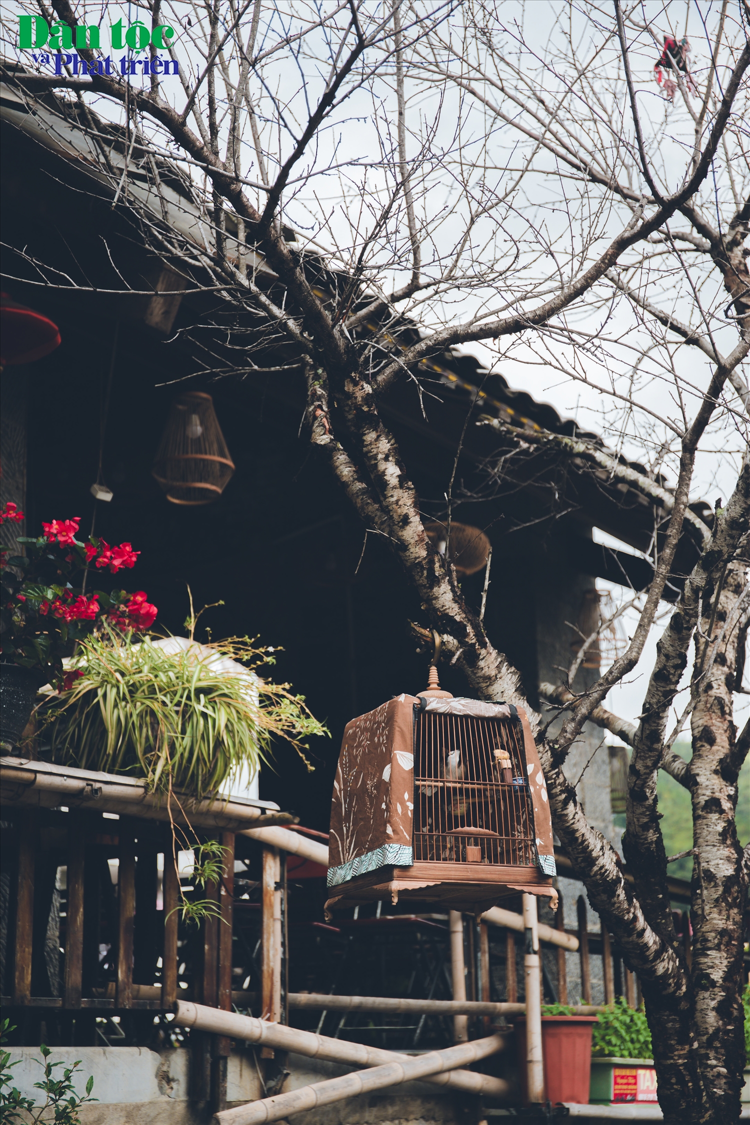 Hiện nay có rất nhiều loại hình lưu trú được xây dựng ngay trong phố cổ Đồng Văn phục vụ nhu cầu của nhiều du khách.