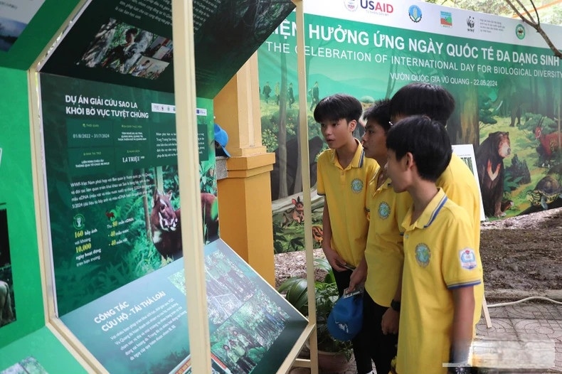 Các em học sinh tìm hiểu về đa dạng sinh học tại Vườn Quốc gia Vũ Quang.