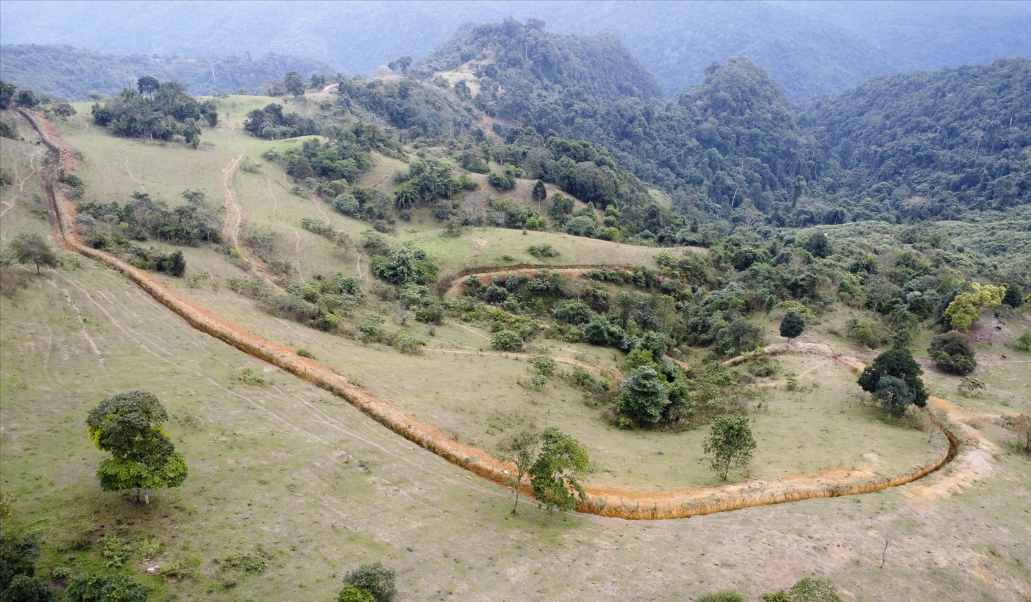 Những hào ngăn trâu bò phá hoại rừng trồng thay thế ở miền núi Nghệ An