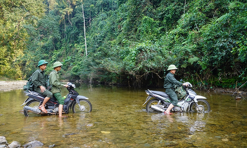 Cán bộ Ban Quản lý rừng phòng hộ huyện Quảng Ninh, tỉnh Quảng Bình tuần tra, BVR rừng.