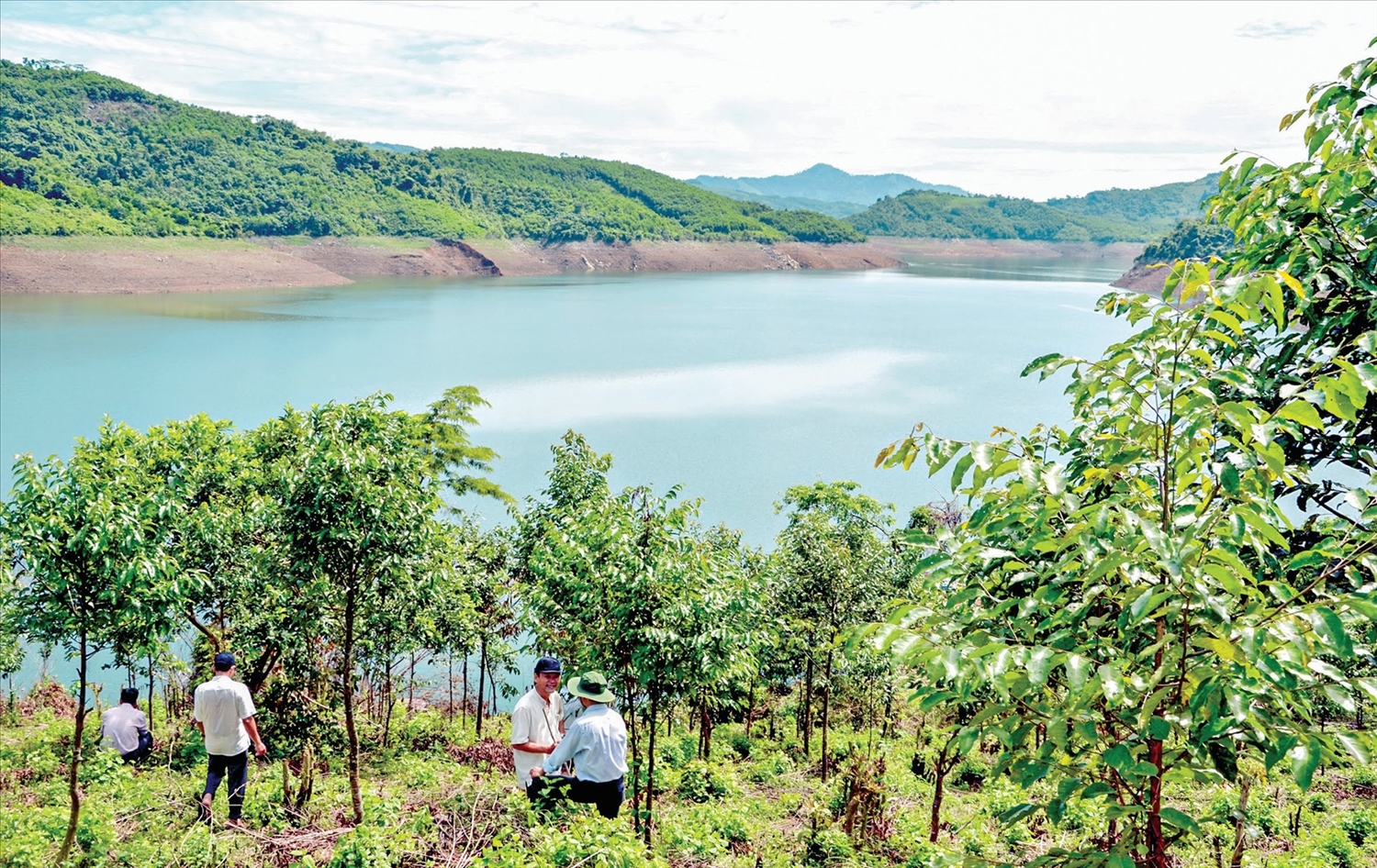 Nhiều dự án ở Quảng Nam phải nộp tiền trồng rừng thay thế (Ảnh minh hoạ)
