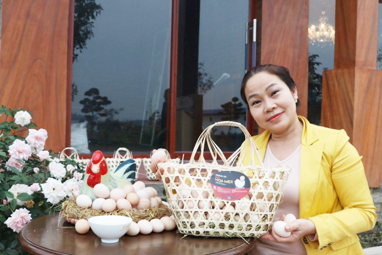 Trứng gà sạch Hoa Mer, sản phẩm OCOP đạt 3 sao của Công ty TNHH Kim Tân Minh, xã Quang Minh, huyện Hiệp Hòa