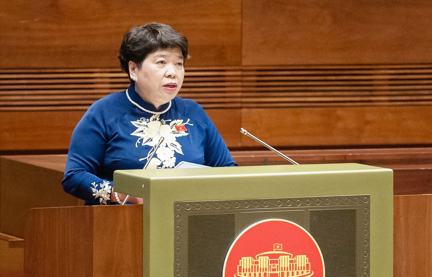 Chủ nhiệm Ủy ban Xã hội của Quốc hội Nguyễn Thúy Anh trình bày Báo cáo 