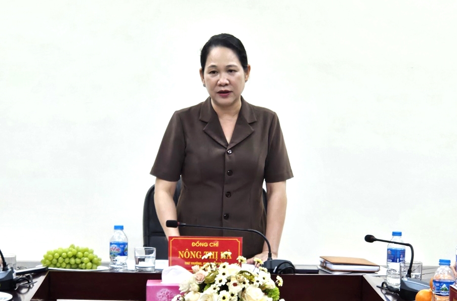 Thứ trưởng, Phó Chủ nhiệm Ủy ban Dân tộc Nông Thị Hà phát biểu chỉ đạo tại buổi làm việc