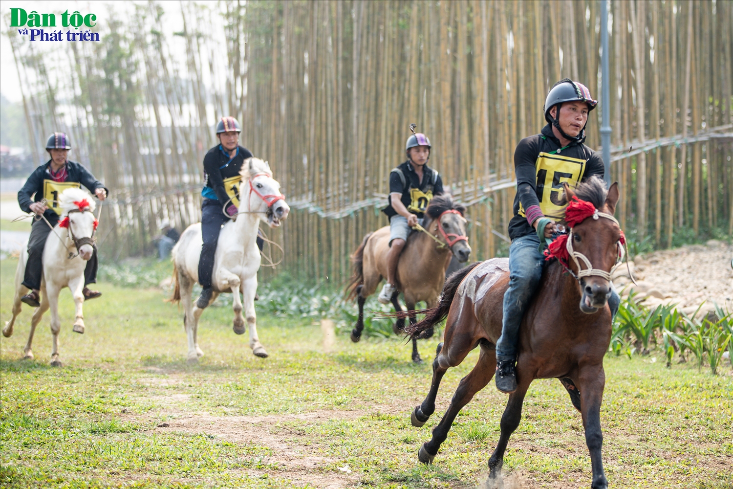 Đây là lần thứ 2 trong năm 2024 giải đua ngựa tại Yên Bái được tổ chức. Như vậy, hiện ở miền Bắc có hai nơi có tổ chức hội đua ngựa là Nghĩa Lộ (Yên Bái) và Bắc Hà (Lào Cai). Ở miền Trung có hội đua ngựa gò Thì Thùng (Phú Yên).