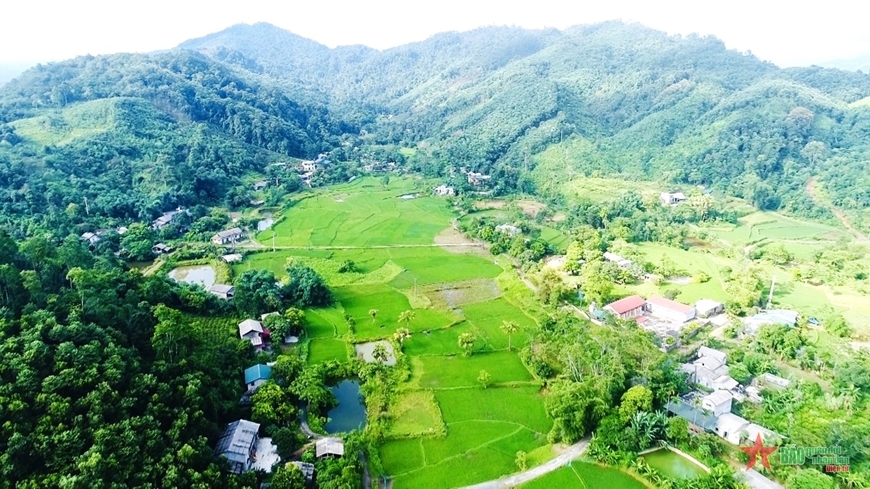 Bản làng vùng cao ở Vị Xuyên (Hà Giang) hôm nay được bao phủ bởi màu xanh của rừng. Ảnh tư liệu