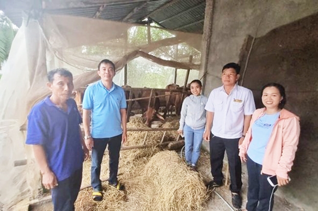 Nhóm đề tài khảo sát xây dựng hầm Biogas tại hộ nuôi bò