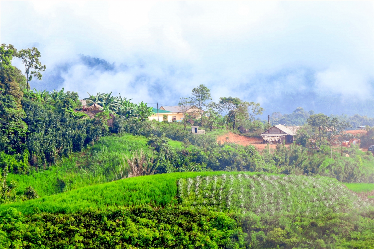 Bản Liên Sơn, xã Nậm Càn - Nơi có những đại gia đình cả bố mẹ lẫn con cái đều... tảo hôn