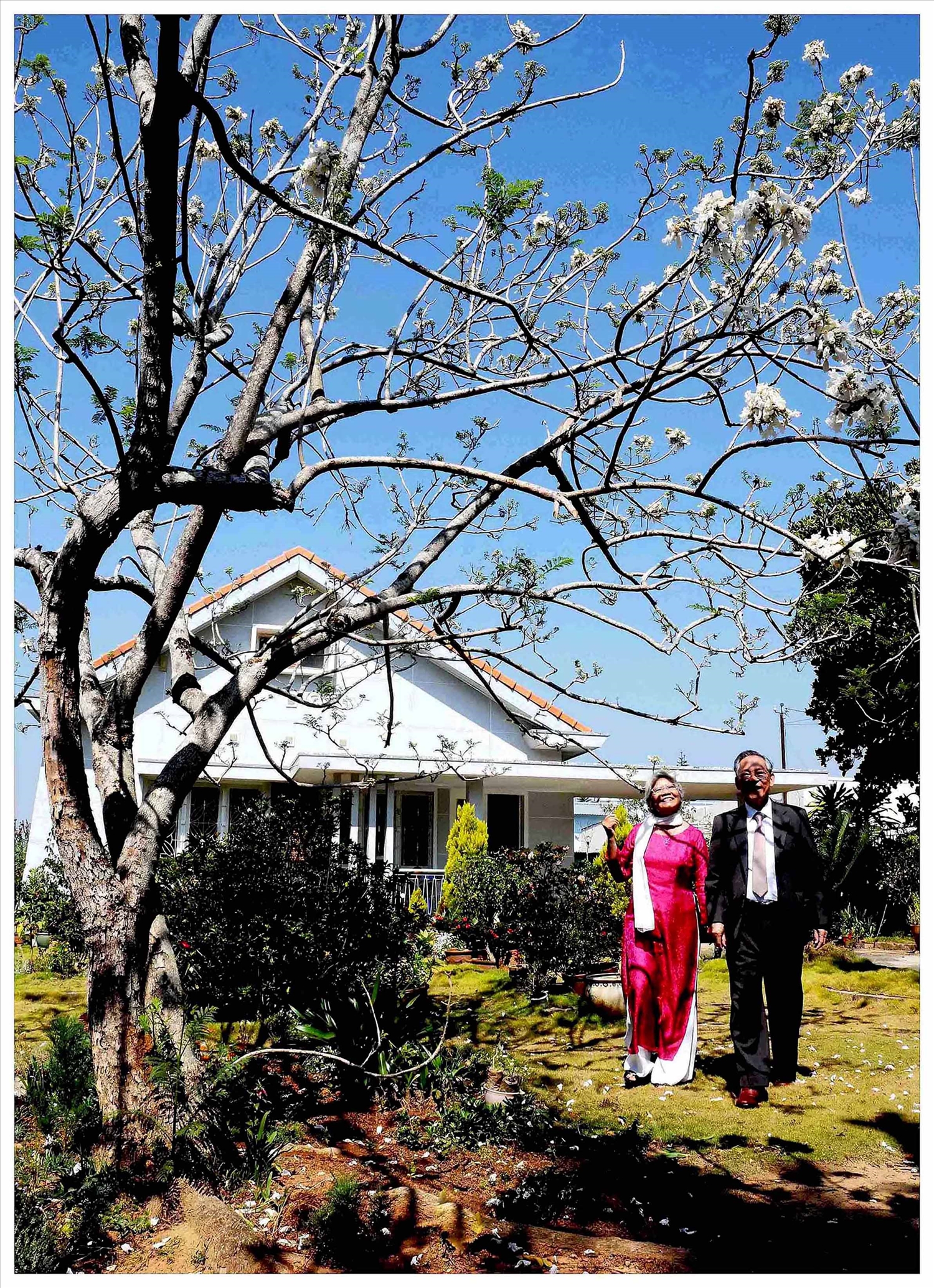 Vợ chồng Tiến sĩ Trần Hà Anh và Tiến sĩ Hà Ngọc Mai dưới cây phượng trắng duy nhất ở Việt Nam.