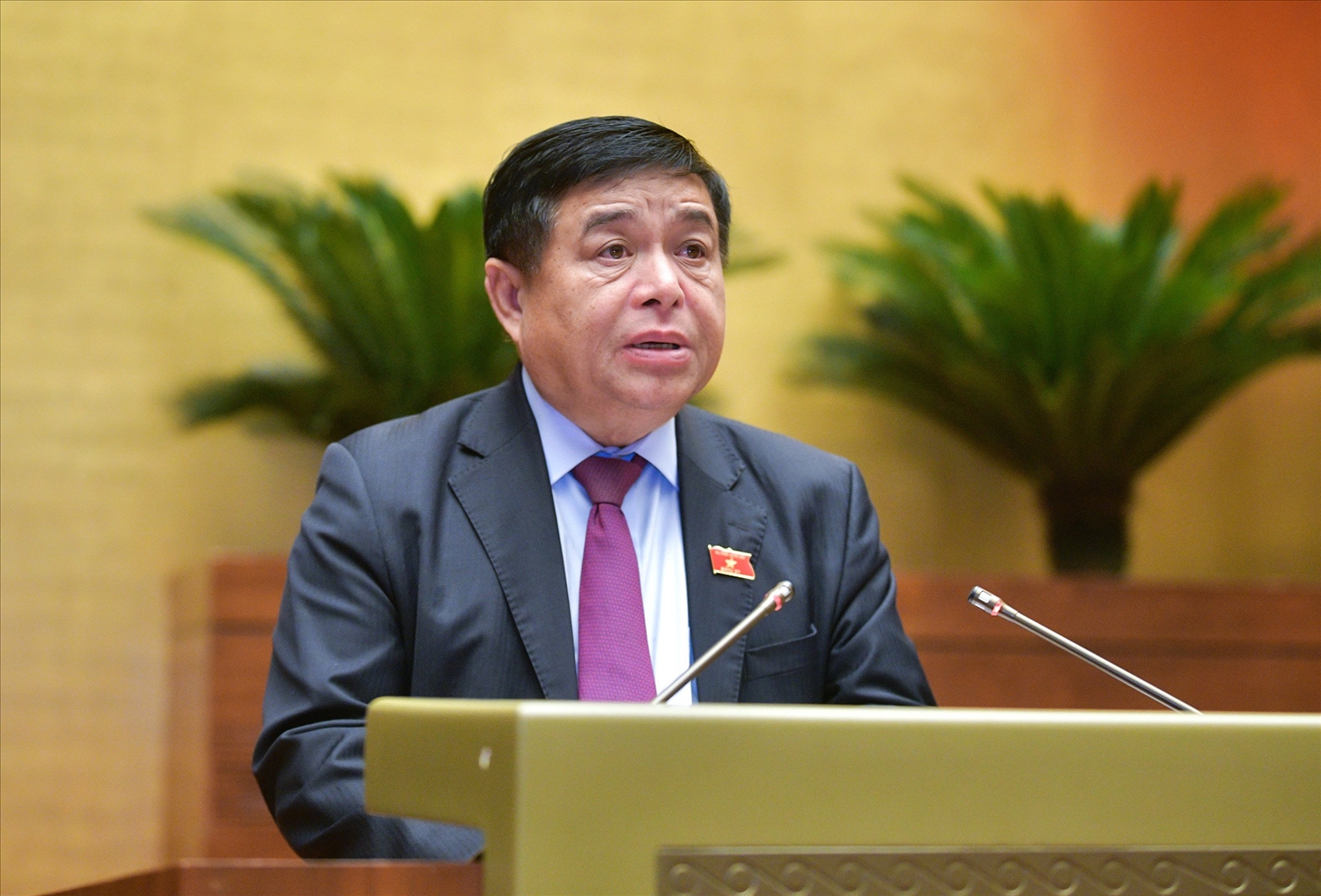 Bộ trưởng Bộ Kế hoạch và Đầu tư Nguyễn Chí Dũng đã trình bày Tờ trình 