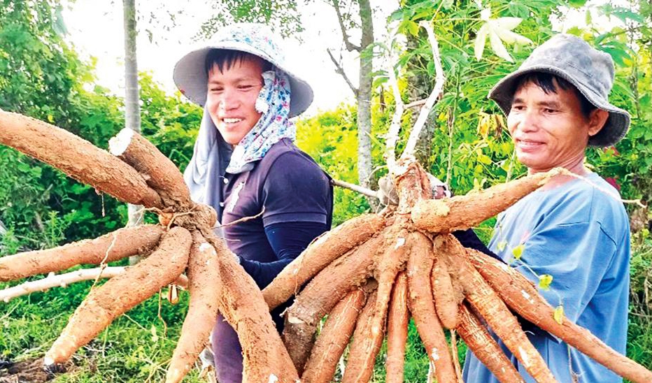  Việc học tập và làm theo Bác đã khơi dậy phong trào thi đua yêu nước trong các tầng lớp Nhân dân.