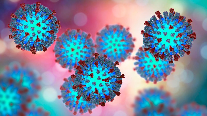 Bệnh sởi là bệnh lây truyền cấp tính qua đường hô hấp, do virus thuộc giống Morbillivirus của họ Paramyxoviridae gây nên. Ảnh minh họa