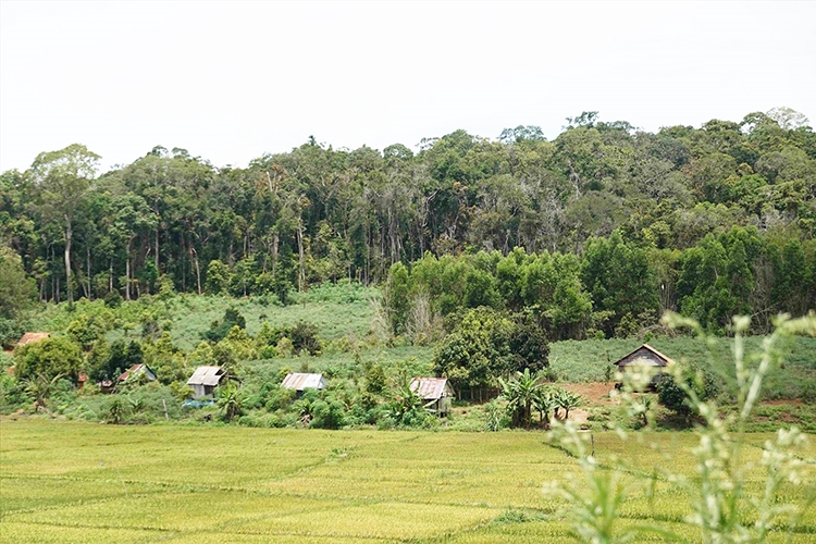 Người dân Vĩnh Sơn mong muốn được cấp quyền sử dụng đất nương rẫy