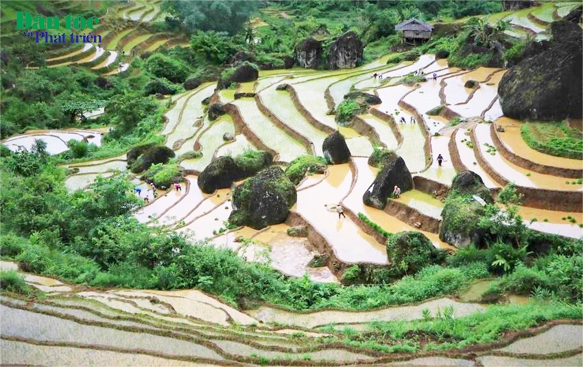 Ruộng bậc thang Khun Há, huyện Tam Đường, tỉnh Lai Châu vào mùa nước đổ.