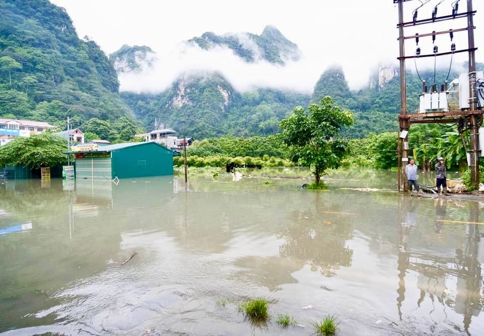 (BCĐ - Tin chuyên đề sở NN&PTNT tỉnh CB) Cao Bằng: Mưa lớn kéo dài làm ảnh hưởng giao thông, thiệt hại về nhà ở và hoa màu