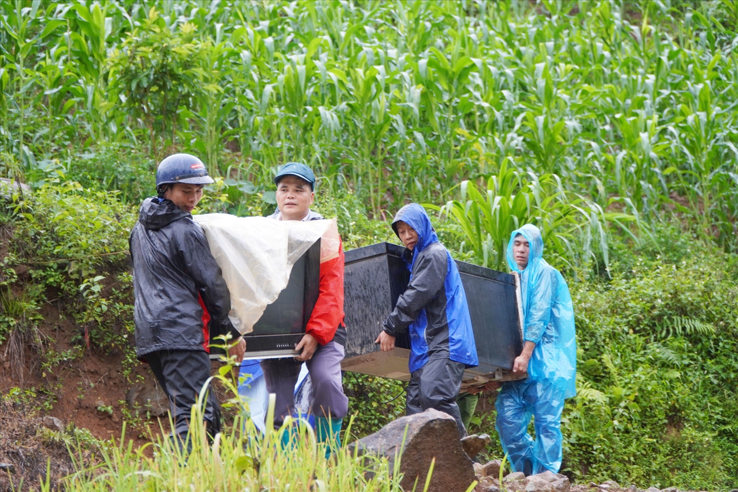 Cán bộ xã Tát Ngà hỗ trợ Nhân dân thôn Khuổi Roài vận chuyển tài sản đến nơi ở mới 