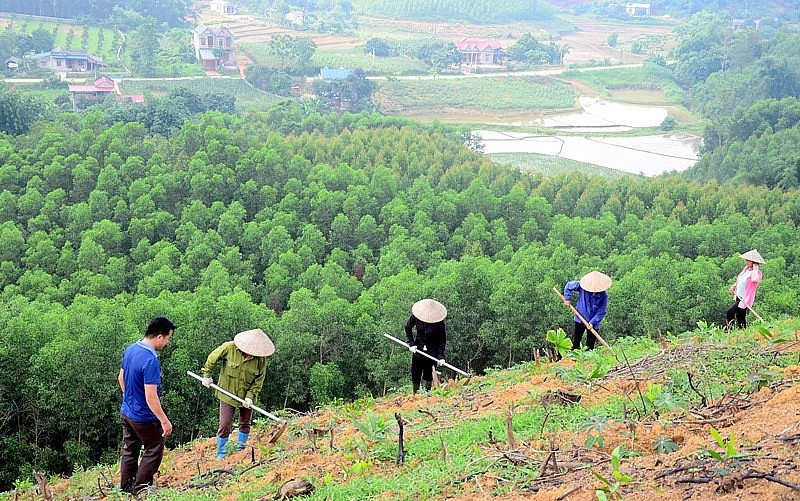 Thống kê cho thấy, 70% diện tích đất nông nghiệp của Việt Nam nằm trên địa hình đồi núi dốc nên dễ bị xói mòn, rửa trôi dẫn đến mất các chất dinh dưỡng, đất thường chua, nghèo mùn và các chất dinh dưỡng