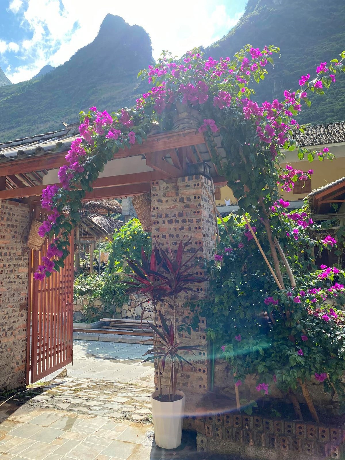 Mỗi cổng Homestay tại làng văn hoá du lịch cộng đồng dân tộc Mông thôn Pả Vi Hạđều được điểm tô với những hàng rào hoa rực rỡ đua nhau khoe sắc