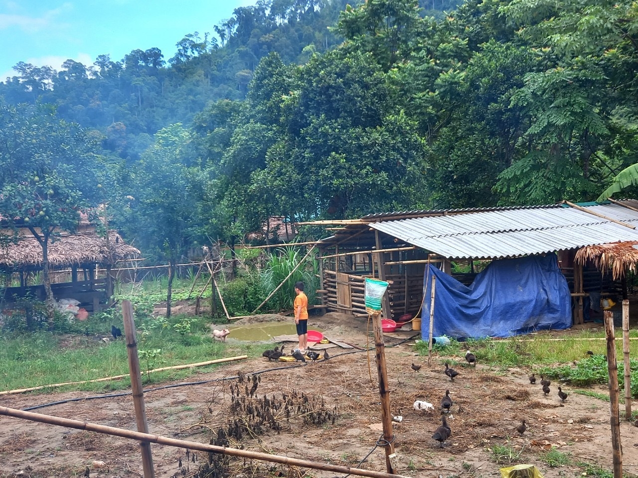 Sớm giải quyết vướng mắc để cuộc sống của người dân Đan Lai ở vùng lõi VQG Pù Mát bớt khó khăn 