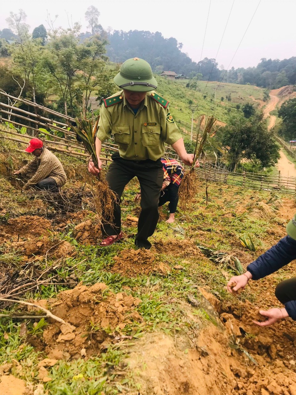 Cán bộ, chiến sỹ biên phòng hướng dẫn người dân Đan Lai trồng cây rễ hương