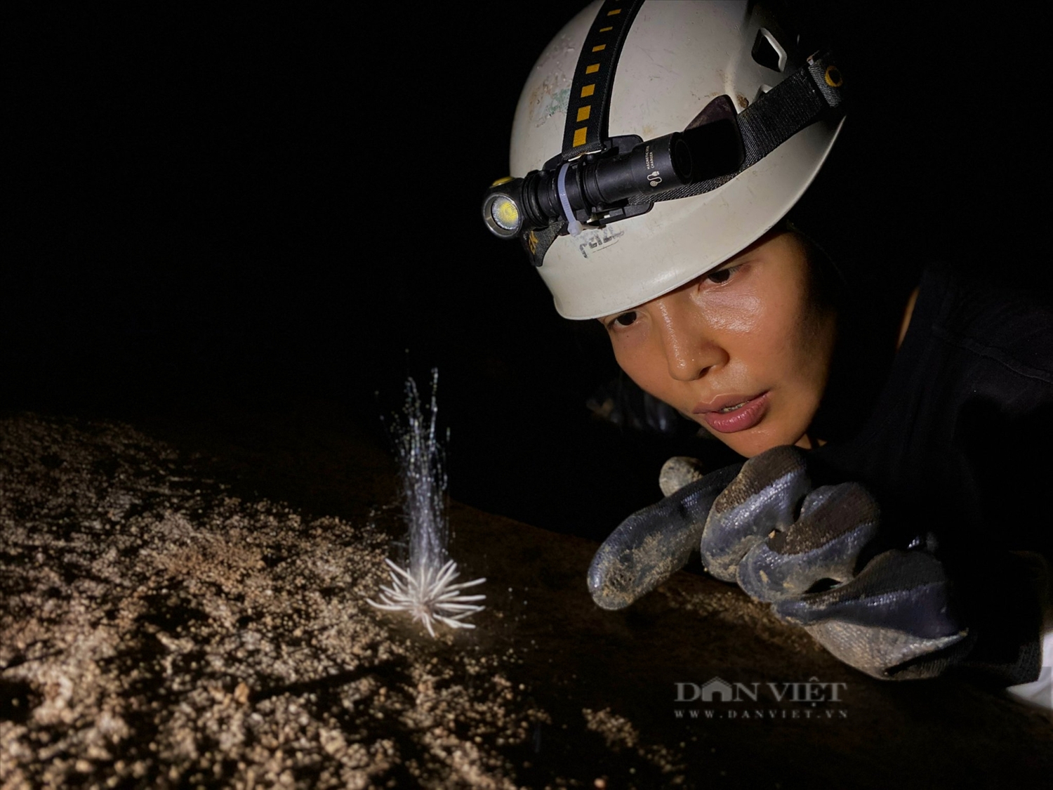 (TH) Phát hiện trong hang động sâu ở Phong Nha - Kẻ Bàng