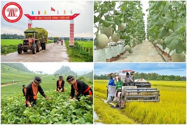 Các Bộ: Lao động – Thương binh và Xã hội, Nông nghiệp và Phát triển nông thôn, Ủy ban Dân tộc xây dựng kế hoạch cụ thể, đẩy mạnh triển khai thực hiện các Chương trình mục tiêu quốc gia tích cực, hiệu quả