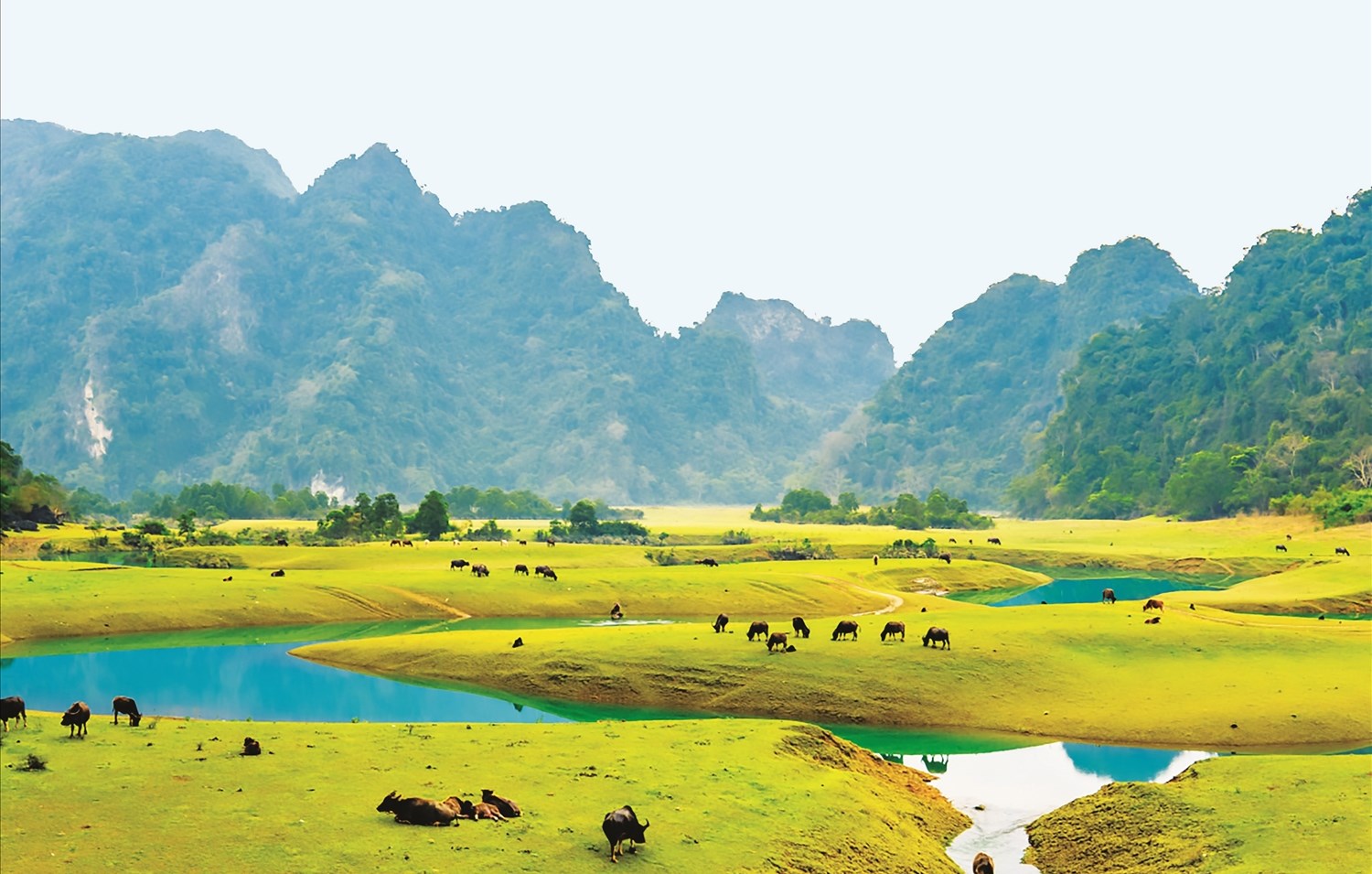 Thảo nguyên Đồng Lâm