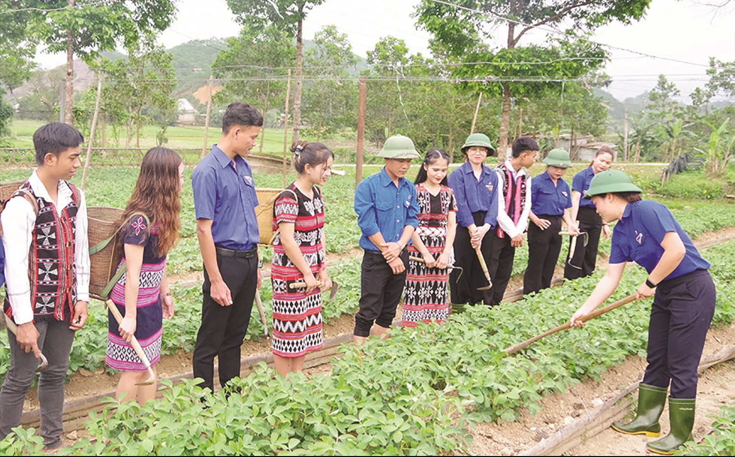 Thanh niên Đoàn 92 hướng dẫn đồng bào trồng lạc