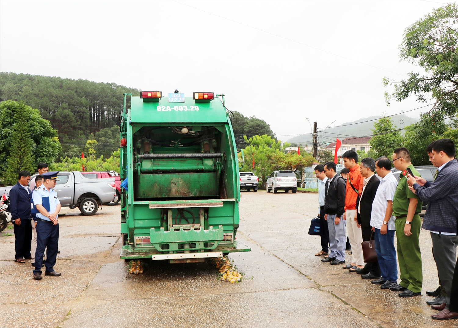 Lực lượng chức năng tiêu hủy 148 cây sâm giống giả sâm Ngọc Linh