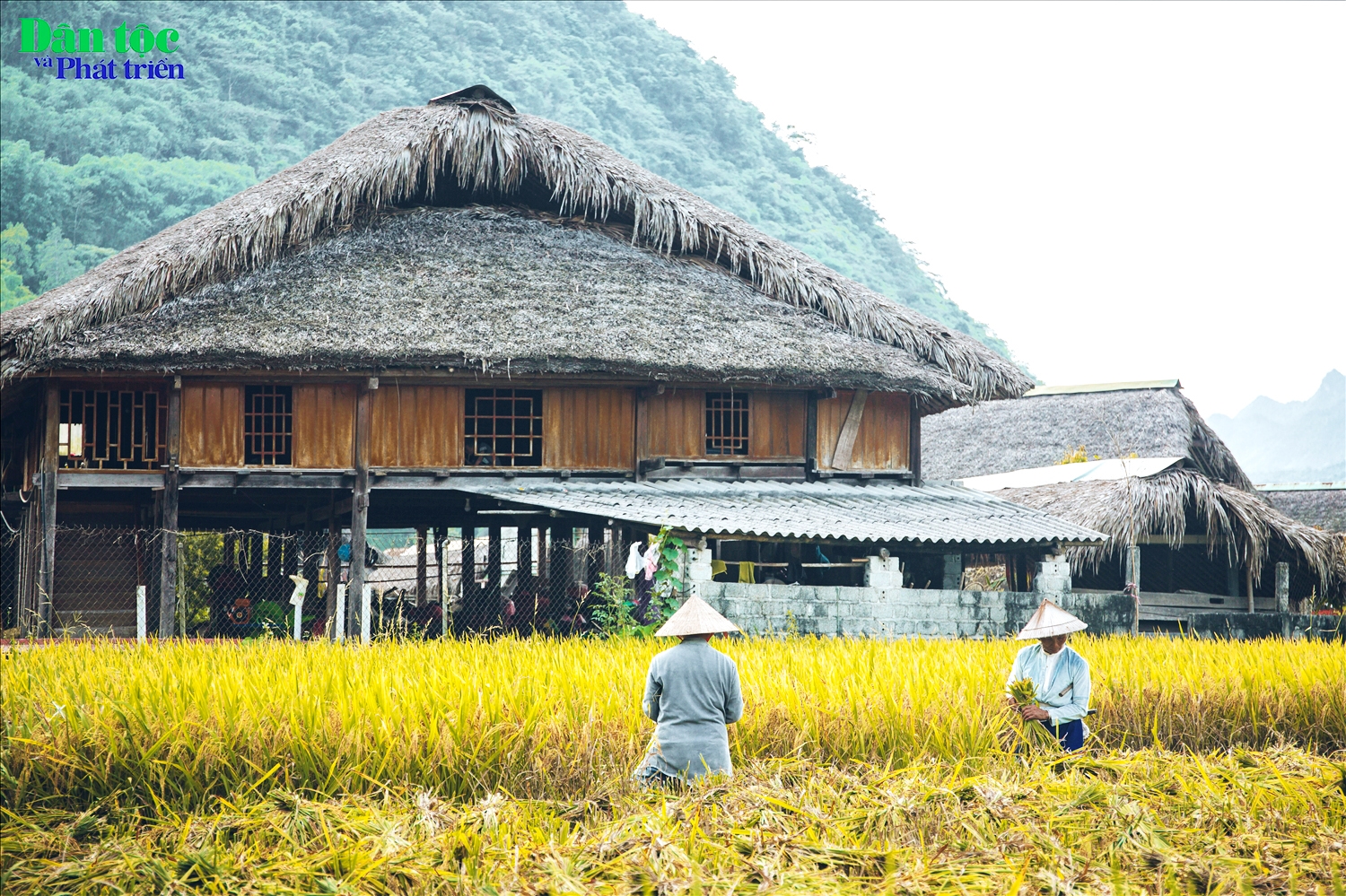 Không sở hữu những thửa ruộng bậc thang kỳ vĩ cao sừng sững giữa đất trời, nhưng thôn Tha lại đem đến một cảm giác bình yên thật sự với những thửa ruộng bậc thang thấp, bao bọc các ngôi nhà sàn.