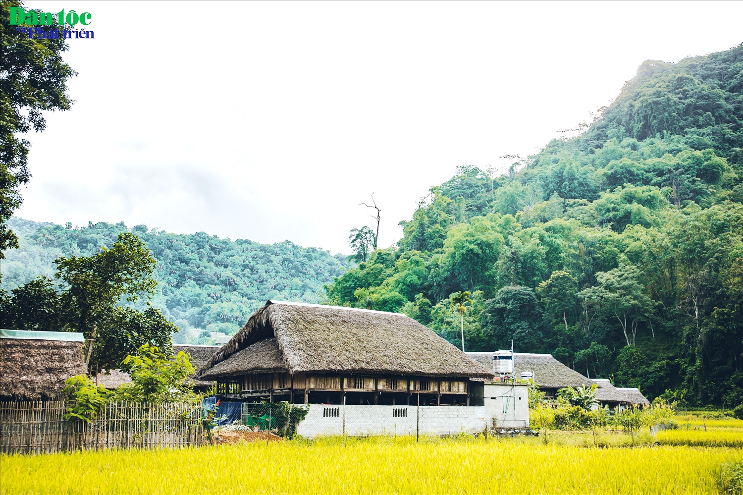 Thôn được bao bọc bởi rừng già ở phía bắc và phía tây, lại có nguồn nước tự nhiên phong phú là hai dòng suối chia thôn Tha thành ba cụm dân cư, vừa thuận lợi cho sản xuất nông, lâm nghiệp, vừa tạo nên phong cảnh hữu tình. Cũng nhờ có tỷ lệ che phủ rừng cao (hơn 50%) nên nơi đây khí hậu quanh năm trong lành, mát mẻ.