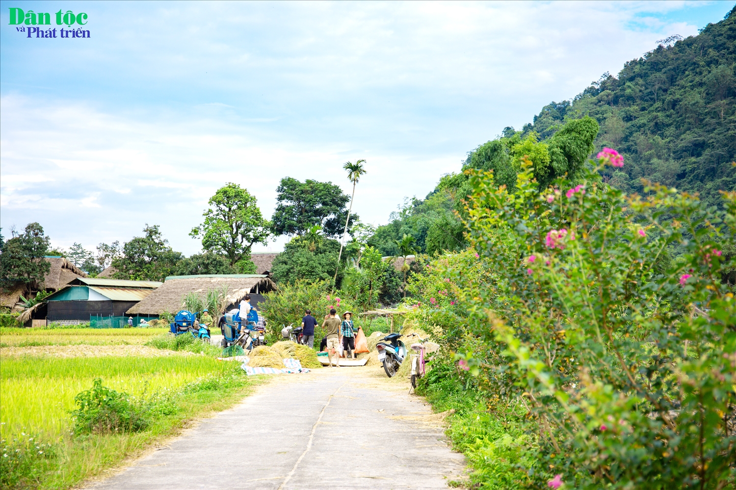 Những nếp nhà cũ kỹ rêu phong của người Tày nằm xen lẫn giữa những ruộng lúa đang độ chín vàng, tựa lưng vào những dãy núi phủ xanh bởi cây lá... Tất cả hòa quyện tạo thành một bức tranh làng quê thanh bình.