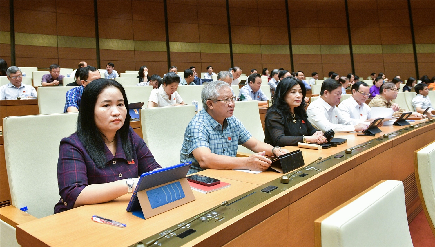 Các đại biểu tham dự phiên họp