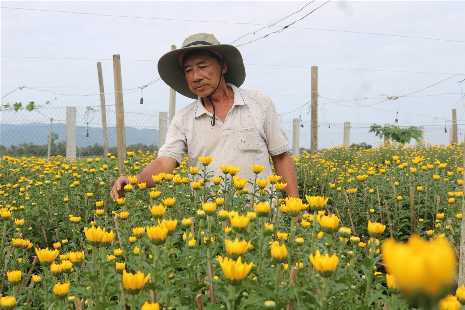 Nghề trồng hoa ở Bình Lâm giúp hàng trăm hộ dân cải thiện thu nhập, góp phần giảm nghèo trong những năm qua.