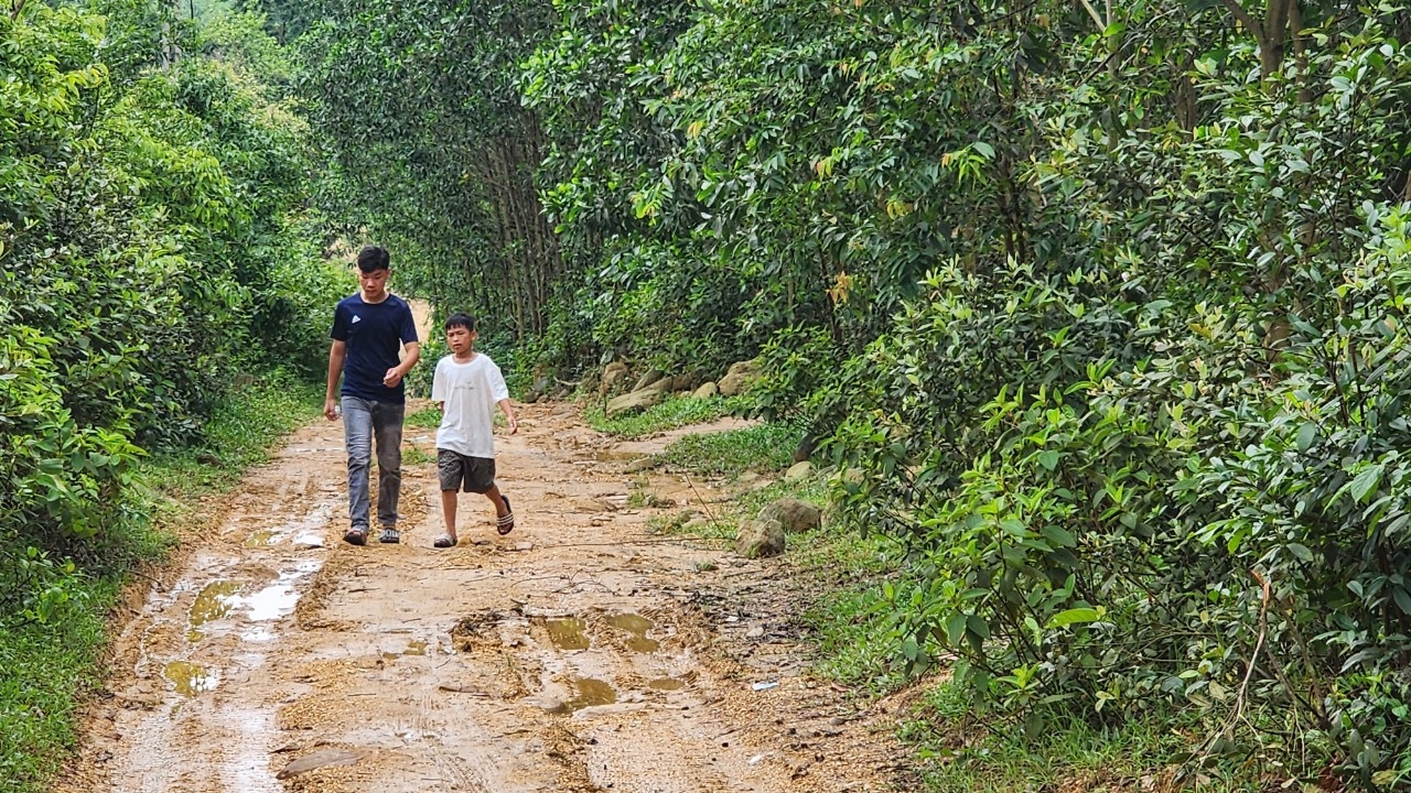 Con đường đất dẫn vào khu vực Bàng Danh thuộc tổ 7, khu 10, phường Mông Dương (Cẩm Phả) 