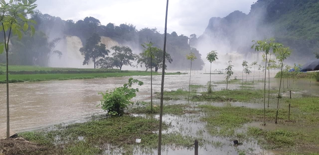 Nước lũ từ thác Bản Giốc đổ xuống ngập tràn các khu lân cận sông Quây Sơn. (Ảnh: CBH)